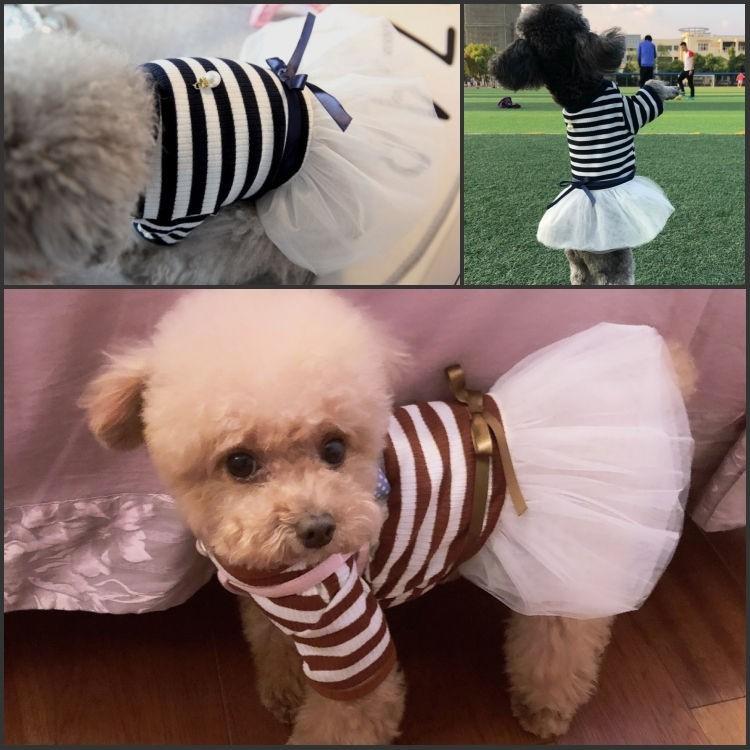 犬の服 ボーダー柄ワンピース チュールスカート セレブ犬服 ゴージャス ペットグッズ ドッグウエア ペット服 ワンちゃん服 Dg497 Yuyu Shop 通販 Yahoo ショッピング