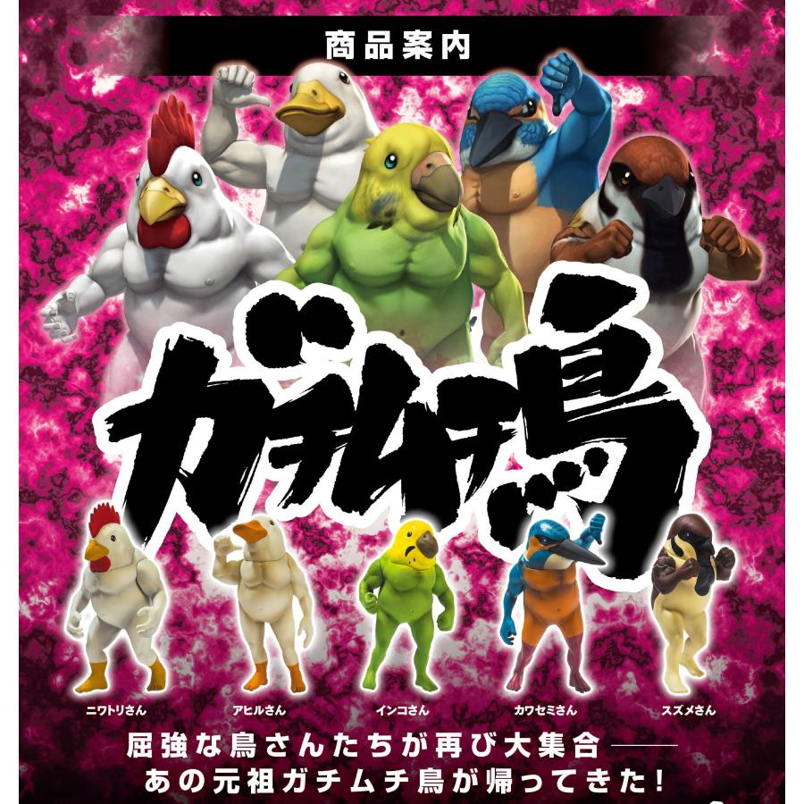在庫品） ガチムチ鳥1 全5種セット（再販分） : ゆうゆう 商店 - 通販