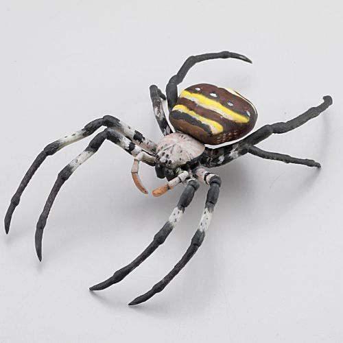 ネコポス発送可能 カプセルqミュージアム 日本の蜘蛛ストラップコレクション クモコレ 1 コガネグモ 単品 09 ゆうゆう 商店 通販 Yahoo ショッピング