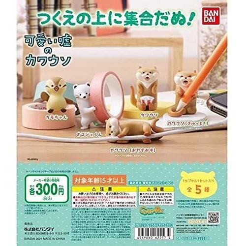 在庫品 可愛い嘘のカワウソ つくえの上に集合だぬ 全5種セット 発売予定 21年7月 ゆうゆう 商店 通販 Yahoo ショッピング