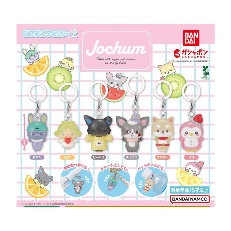 JOCHUM めじるしアクセサリー2 全6種セット コンプ ガチャガチャ