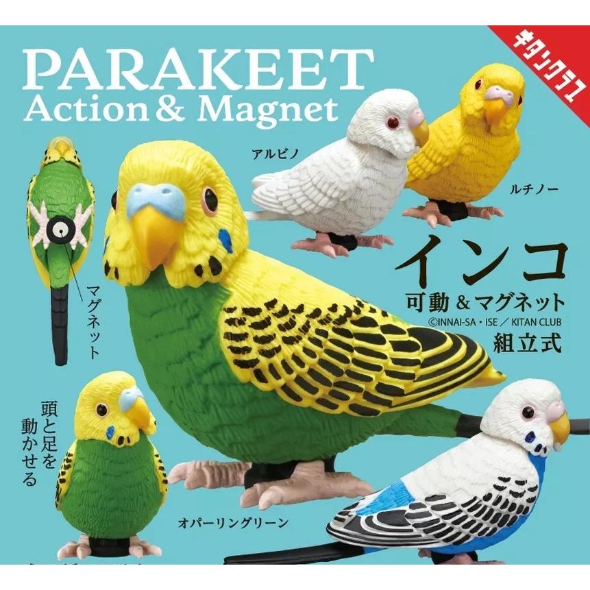 インコ 可動＆マグネット【全4種セット】 : ゆうゆう 商店 - 通販