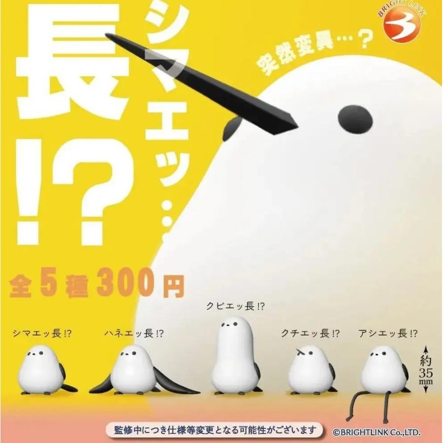 シマエッ…長！？ 全5種セット フルコンプ ガチャガチャ カプセルトイ