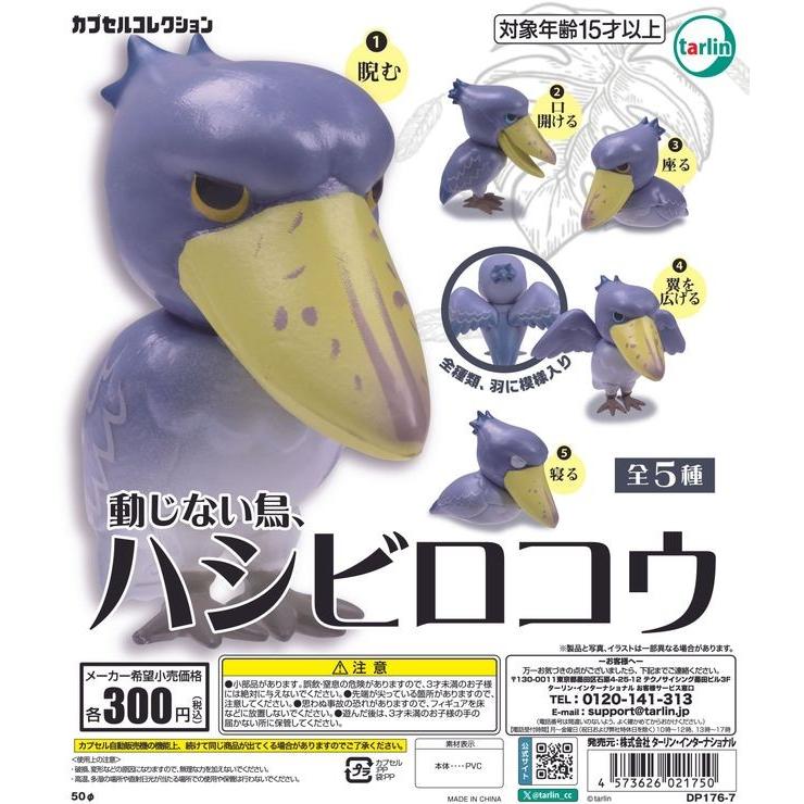 動じない鳥、ハシビロコウ全5種セット | 
