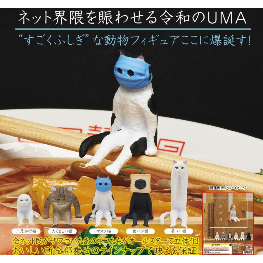 在庫品 座る変な猫 全5種セット Belle Ile Nature Org