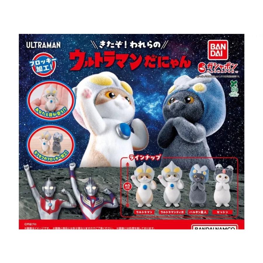 ウルトラマンだにゃん全4種セット : ゆうゆう 商店 - 通販 - Yahoo