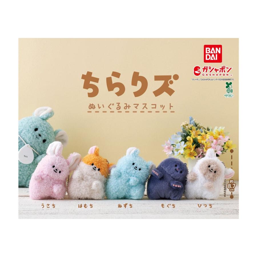 ちらりズ ぬいぐるみマスコット 全5種セット : ゆうゆう 商店 - 通販
