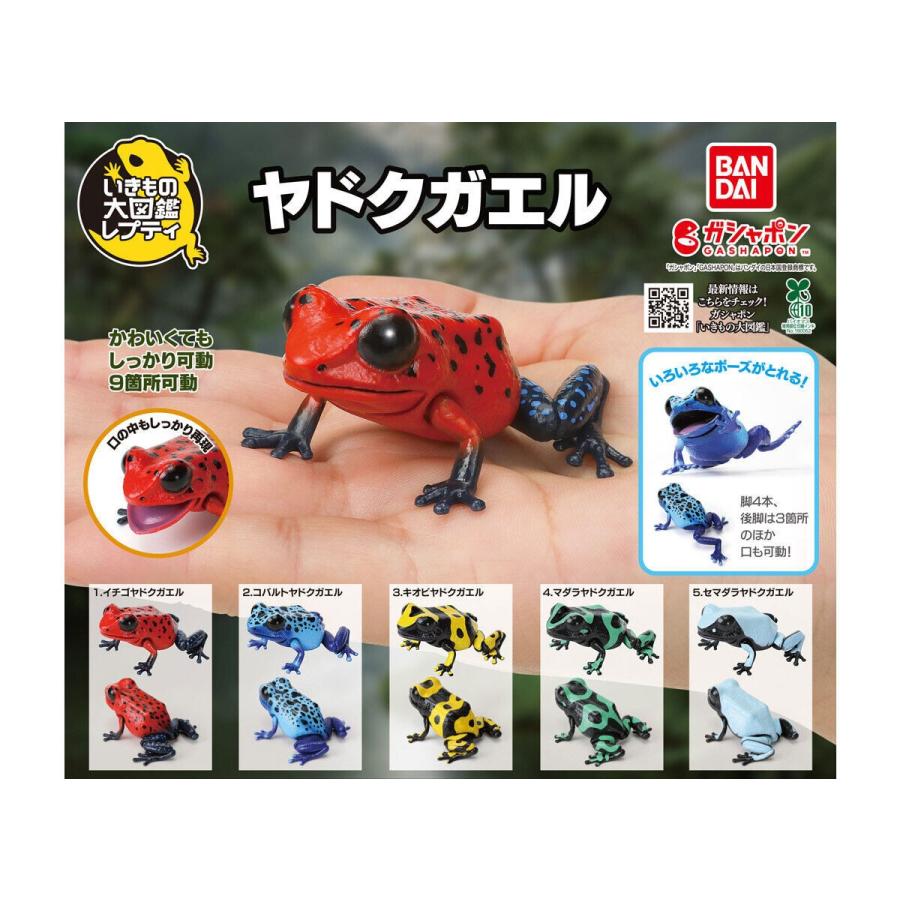 いきもの大図鑑レプティ ヤドクガエル 全5種セット : ゆうゆう 商店