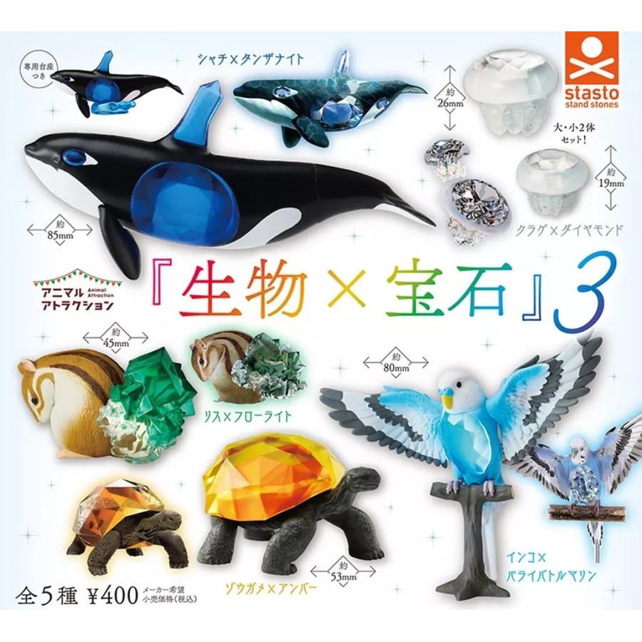 アニマルアトラクション 生物×宝石 3 全5種セット : ゆうゆう 商店