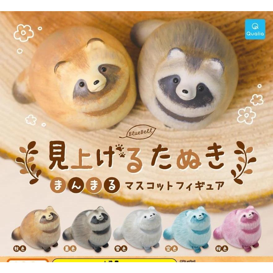 見上げるたぬき まんまるマスコットフィギュア 全5種セット : ゆうゆう