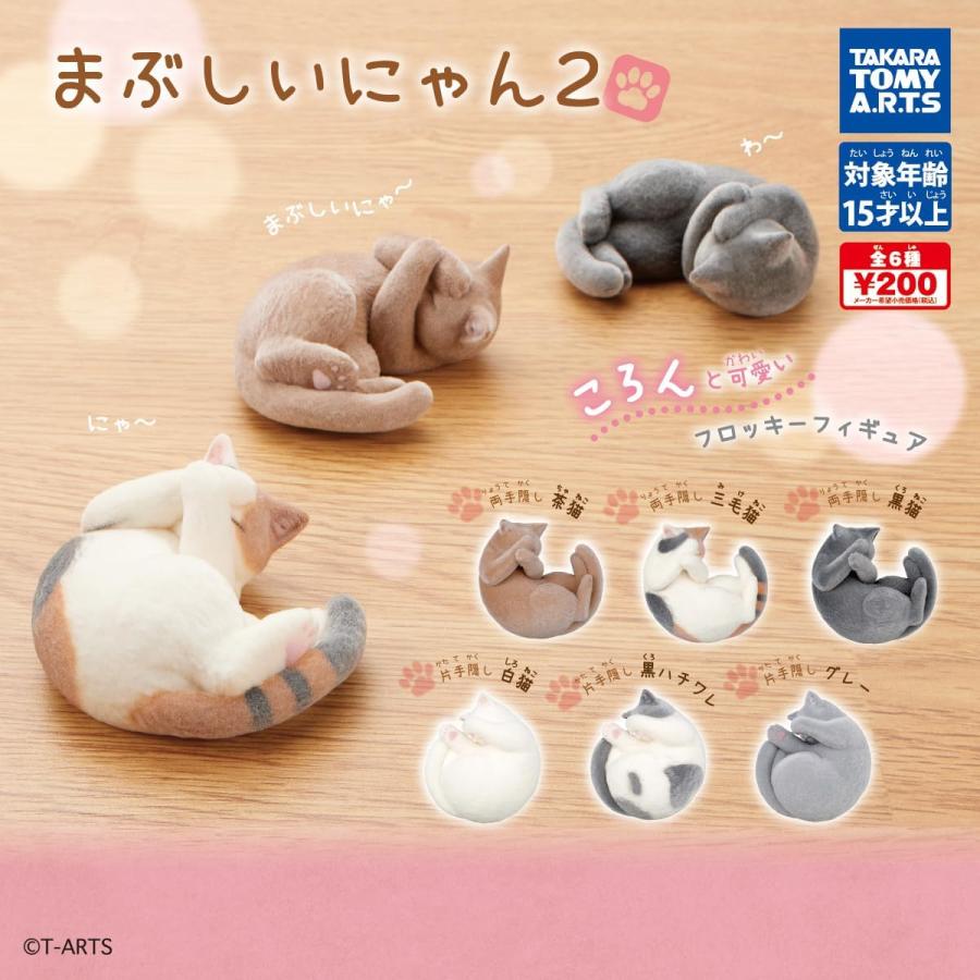 まぶしいにゃん2 [全6種セット(フルコンプ)]ガチャ : ゆうゆう 商店