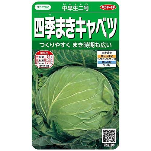 四季まきキャベツ