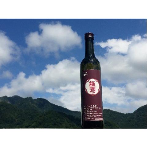 雪中梅 梅酒 500ml : 新潟の地酒 タカハシヤ - 通販 - Yahoo!ショッピング