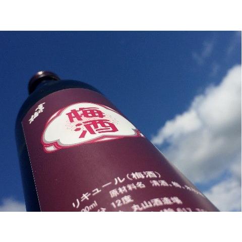 雪中梅 梅酒 500ml : 新潟の地酒 タカハシヤ - 通販 - Yahoo!ショッピング