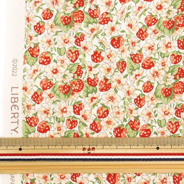 リバティ生地一覧② my-mama_3333055-ten