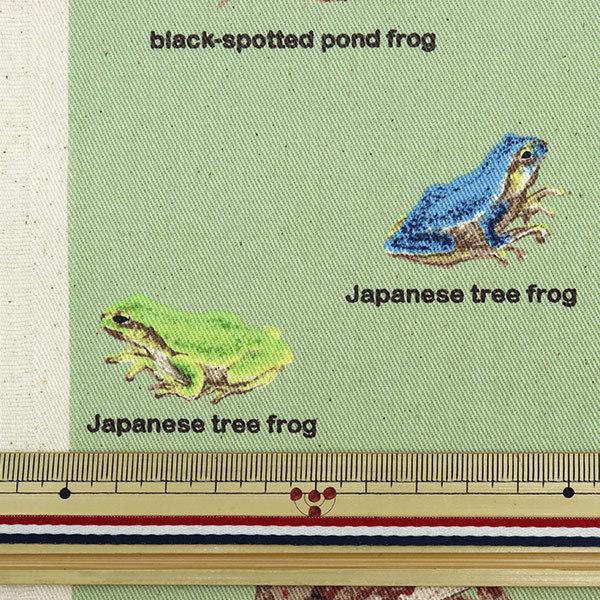 数量5から】 生地 『ツイル カエル図鑑 KTS6857-D』 COTTON