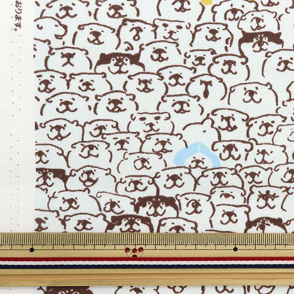 数量5から】 生地 『オックス しばんばん むちころだらけ ミズイロ