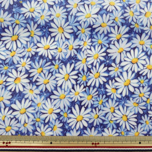 激安な 数量5から 生地 シャーティングラミネート 花柄 R Cc3087 1 Yuwa 有輪商店 シャルマンコレクション85円 Aynaelda Com