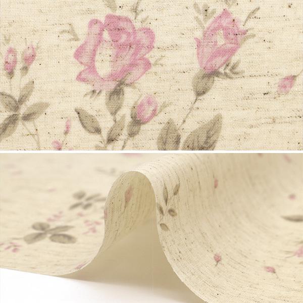 新春福袋21 生地 綿麻シーチング 単色ローズ柄 ラミネート 約108cm 50cm ピンク C Rcc 1 Y1 024円 Caassistedliving Org