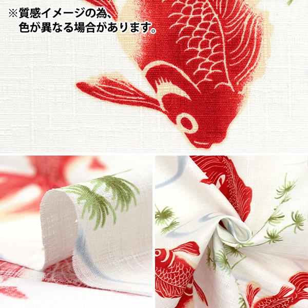 数量5から】 生地 『ドビー 和柄 金魚 ネイビー 1025-1100-2D