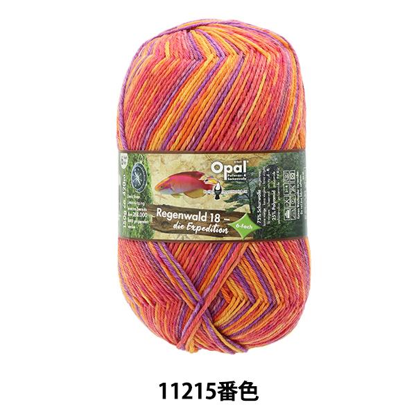 ソックヤーン 毛糸 『レーゲンヴァルト18 6ply 11215番色』 Opal