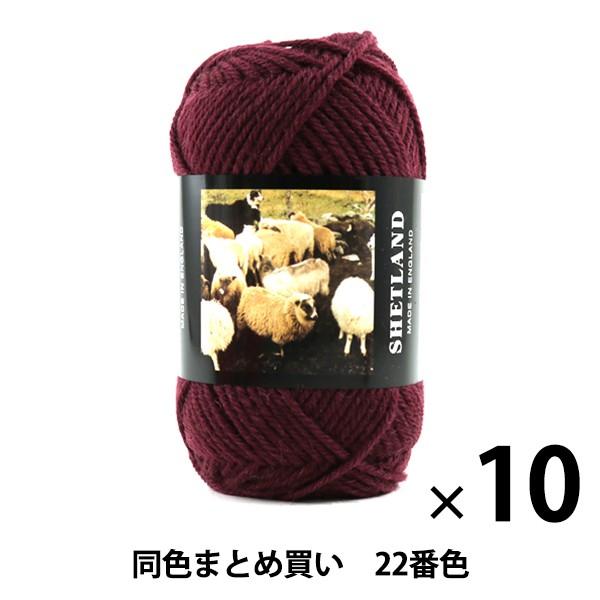 【10玉セット】秋冬毛糸 『SHETLAND(シェットランド) 22番色』 Puppy パピー【まとめ買い・大口】