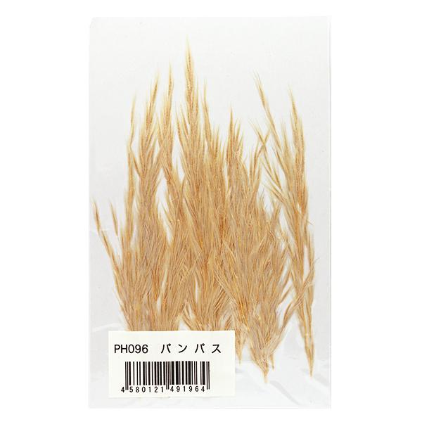 ユザワヤ押し花キット つみたて花パック パンパス Ph096 輝く高品質な