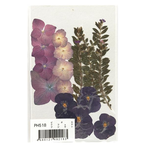 押し花キット つみたて花パック ビオラ クフェア アジサイ Ph518 322 23 049 009 ユザワヤ 通販 Yahoo ショッピング