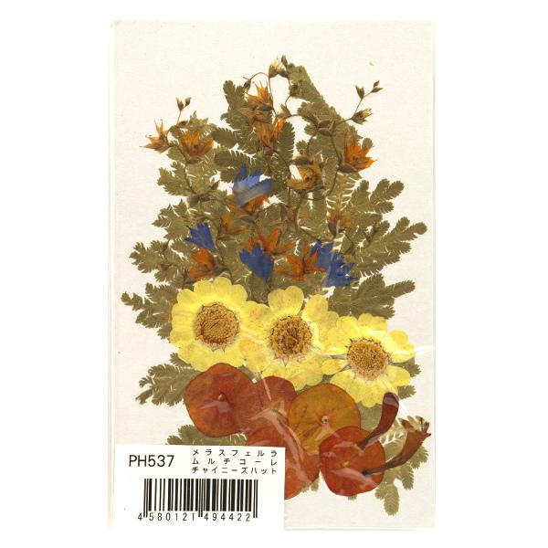 ユザワヤ押し花キット つみたて花パック メラスフェルラ ムルチコーレ チャイニーズハット Ph537 85 Off