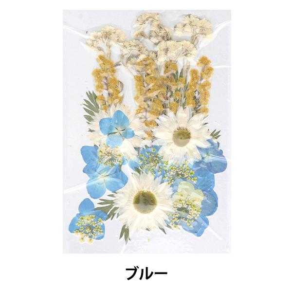 ユザワヤ押し花 押し花カラーパック ブルー Py003