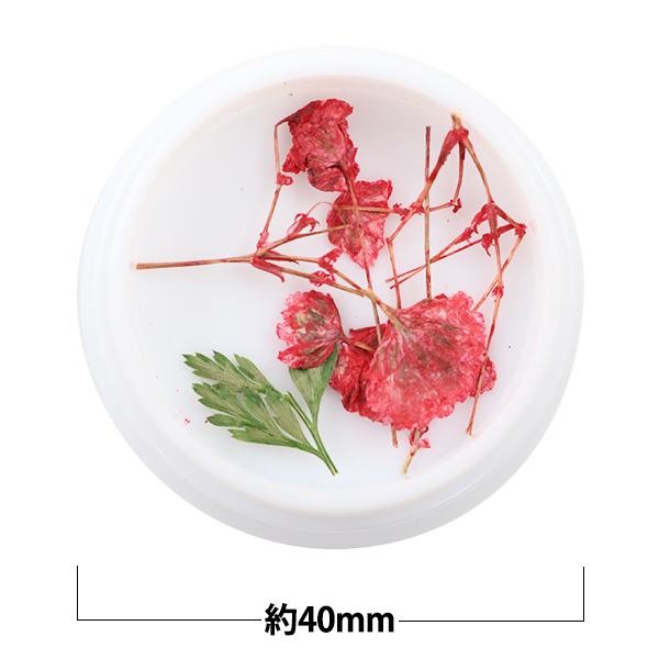 超激得sale プリザーブドフラワー レジンフラワーパーツ かすみ草a レッド N 65 19a 05b