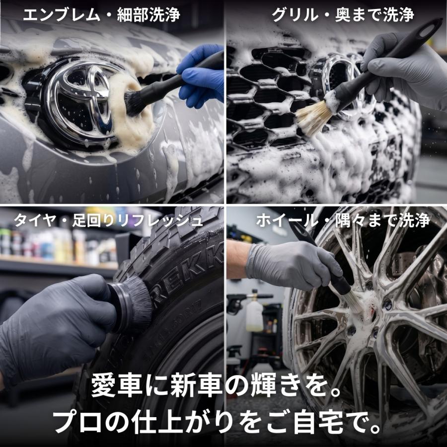 洗車ブラシ 傷つかない ボディ用 6本セット 洗車 筆 ディテールブラシ