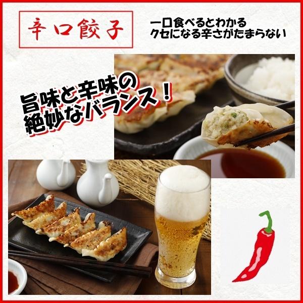 餃子 ヒロセ通商／餃子／50個×2 - メルカリ