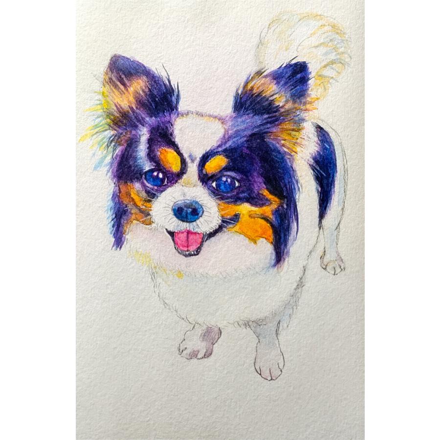 色鉛筆画✭愛猫愛犬✭ペット似顔絵　オーダー受付　ページです♪1 ペット似顔絵 オーダーメイド イラスト 愛犬 愛猫 お描きします