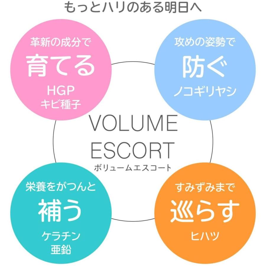 アデランス 送料無料 ボリュームエスコート VOLUME ESCORT 