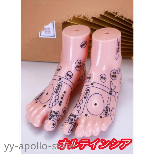 足つぼ 模型 足つぼマッサージ 体系的に覚える図解 表