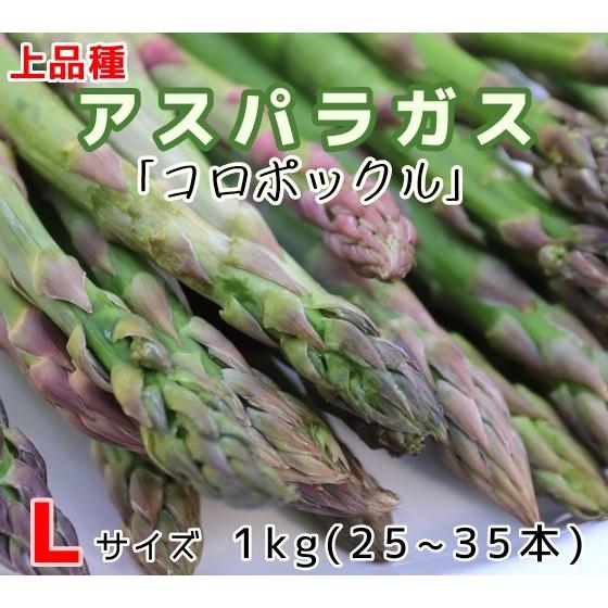 上品種アスパラ コロポックル ｌサイズ 約1kg 送料無料 Koropo01 わいわい広場 ヤフー店 通販 Yahoo ショッピング