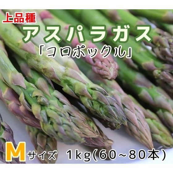 上品種アスパラ コロポックル ｍサイズ 約1kg 送料無料 雑誌で紹介された