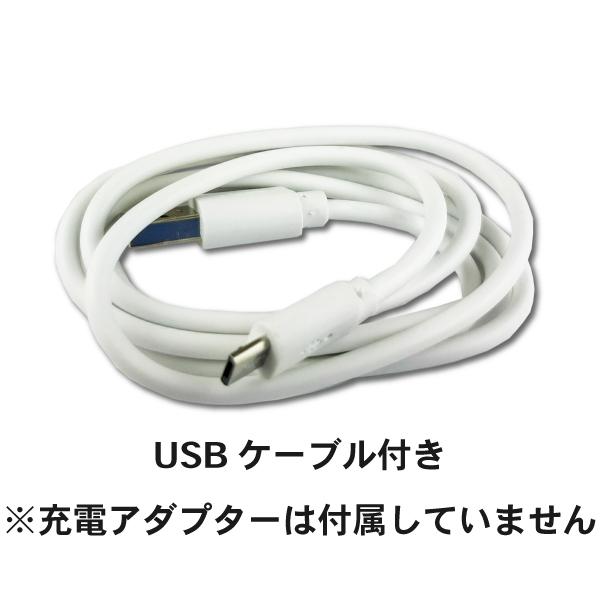 送料無料 ポータブルオゾン発生器 POG-10M : 健康食品の店 わいわい