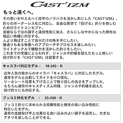 56 以上節約 ダイワ Daiwa 並継投げ竿 キャスティズム R 釣り竿 3 85m Materialworldblog Com