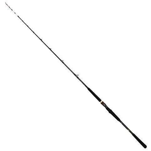ダイワ Daiwa Ex 船竿 極鋭ヤリイカ Ex 91 165 やふーすとあーの