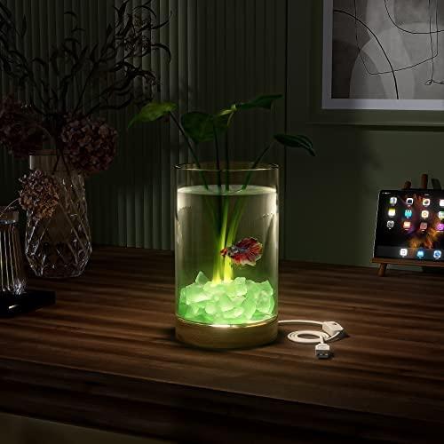 メーカー直売 やふーすとあーeraarkミニ水槽 アクアリウム 小型メダカ水槽セット ベタ飼育セット Ledライト 水槽用装飾クリスタルストーン付き グリーン Redoriente Net
