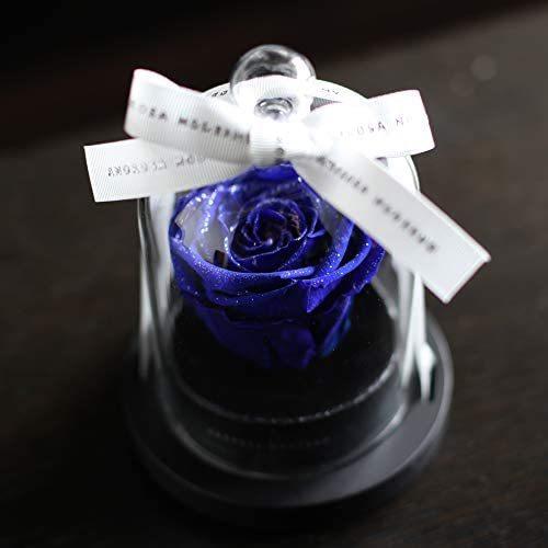 リトルベル 青いバラ 天然ダイヤモンドパウダーをまとった枯れない本物のバラ プリザーブドフラワー プロポーズ 誕生日 記念日 結婚祝 青いバラ 1a2b3 Wmr13v4di やふーすとあー 通販 Yahoo ショッピング