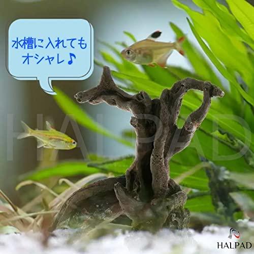 Halpad 流木 爬虫類 水槽 人工 大 アクアリウム 隠れ家 木 熱帯魚 金魚 ブラウン ブラウン ブラウン 1a2b3 Woc23g1de やふーすとあー 通販 Yahoo ショッピング