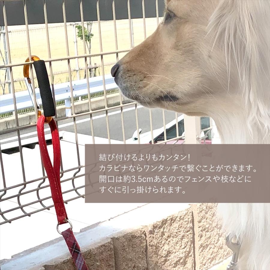 カラビナ ペットグッズ BIG サイズ 大きい 大型犬 中型犬 犬 お出掛け お散歩 リード フック ベビーカー 荷物 ホルダー ハンドルフック ペット用品 犬用品 首輪｜yyconnectonline｜03