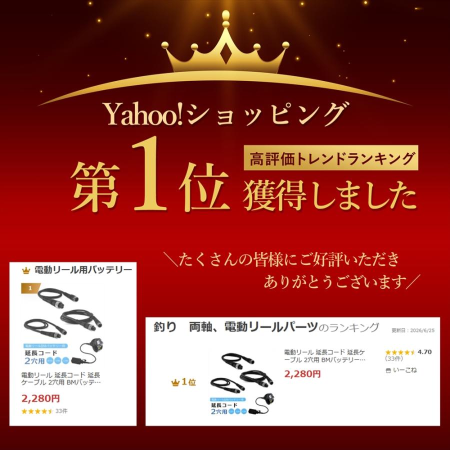 フィッシング たかさん専用DAIWA シーボーグBDe コード バッテリー