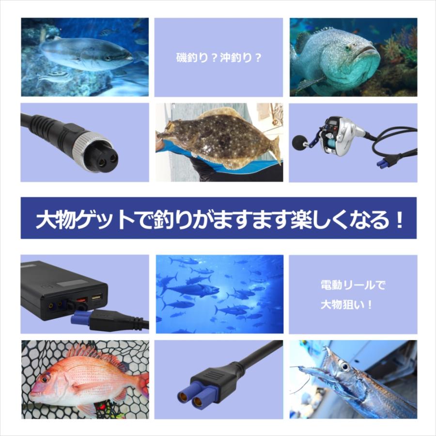 ダイワ シマノ 2芯 電動リールコード ケーブル ジャンプスターター タイプ EC5 コネクター 接続 2穴 1m 2m 3m DAIWA SHIMANO |  | 08