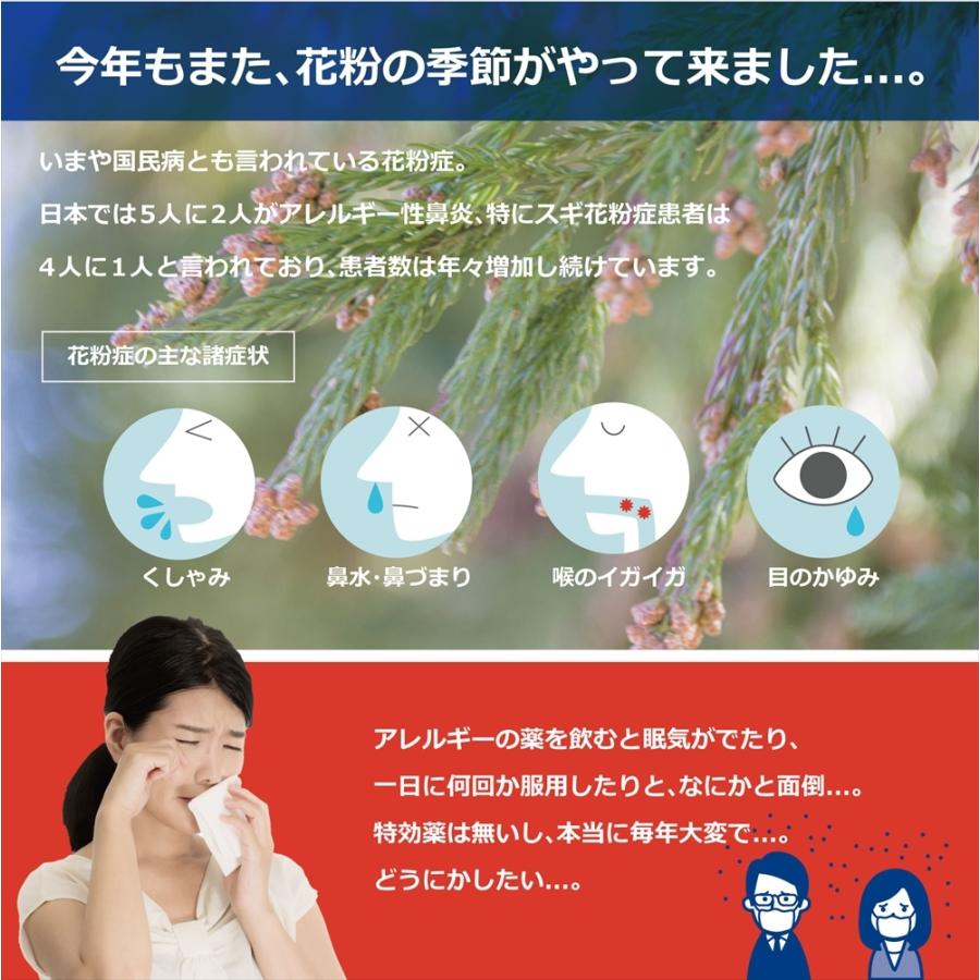 マイナスイオン ポータブル 空気浄化器 USB充電式 首掛け 卓上 車内