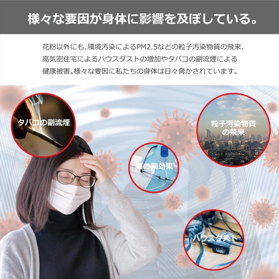 マイナスイオン ポータブル 空気浄化器 USB充電式 首掛け 卓上 車内