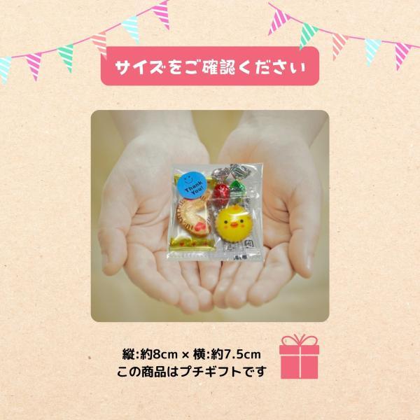 ギフト チョコレート プチギフト アニマル 詰合せ 50個包装 大量 お礼